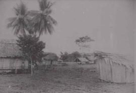 Fotografía del poblado de Manzanillo. Se observan las chozas construidas con paja. Limón, Costa Rica