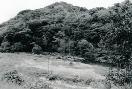 5082-2.jpg