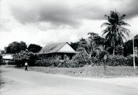 6243-2.jpg