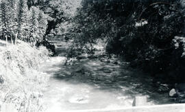 Fotografía del río San Isidro, ubicado al costado norte del Complejo deportivo y recreativo de Pé...