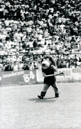 6277-25.jpg
