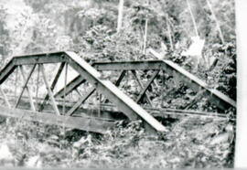 003446-5