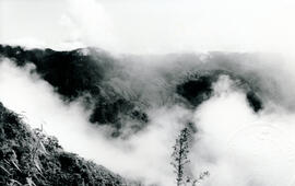 6043-4.jpg