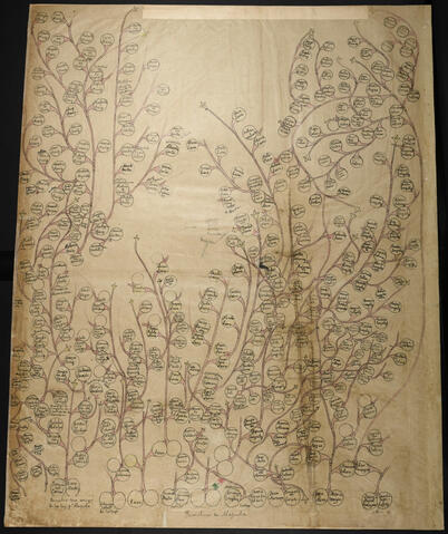 Open original Document numérique
