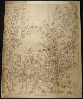 Genealogía de las familias de Alajuela: Corral Madriz, Solórzano, Lara, Frutos Bao, González Cald...
