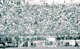 6274-26.jpg
