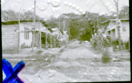 4405-5.jpg