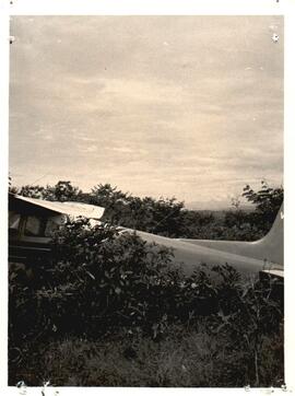 251907.jpg