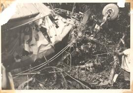 251952.jpg