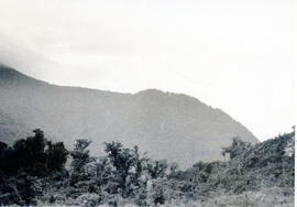 287-9.jpg