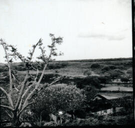 4119-2.jpg