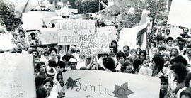 4429-2.jpg