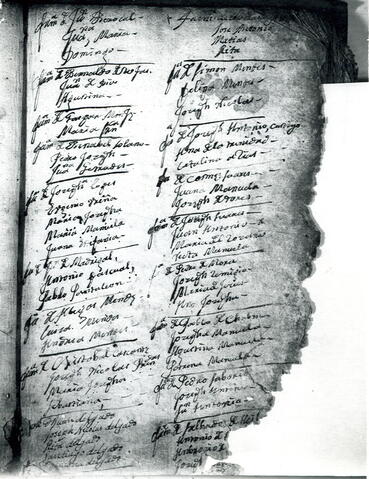 Open original Document numérique