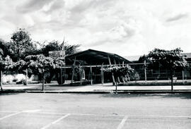6241-12.jpg