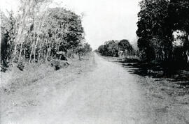 6291-2.jpg