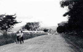 Fotografía del camino que conduce al Colegio Técnico, situado 400 metros al sur del Ministerio de...