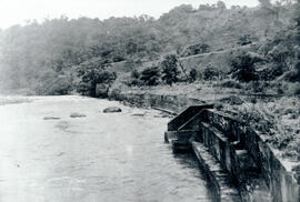 Fotografía panorámica del río Reventazón, en las cercanías de la estación Florida. Se observa par...