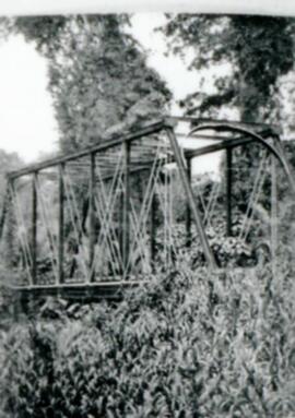 003446-11