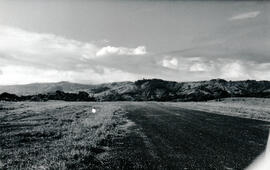 6251-2.jpg