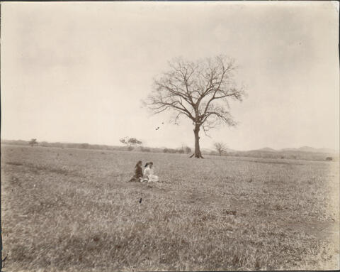 Open original Digital object