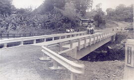 Fotografía del puente sobre el río Durazno. Cantón de Coronado San José