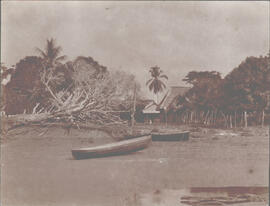 Fotografías de la Región del Golfo Dulce. Aparecen imágenes de: entrada a Santo Domingo de Golfo ...