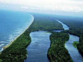 Fotografías del Parque Nacional Tortuguero, ubicado en Colorado de Pococí