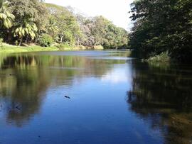 Fotografía del Rio Sapoá, ubicado en Sonzapote en La Cruz, Guanacaste