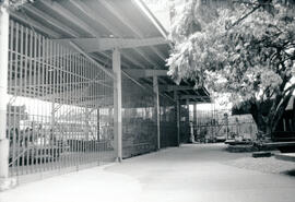 6286-12.jpg
