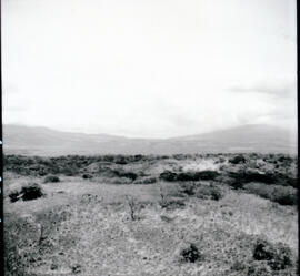 4123-4.jpg