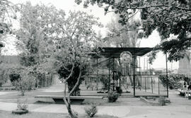 6286-7.jpg