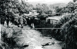Fotografía del puente de hamaca sobre el Río San Isidro, ubicado en el distrito de El General, ca...