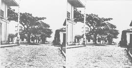 079370.jpg