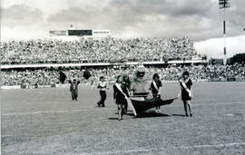 6277-64.jpg