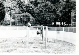 4153-6.jpg