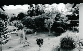 6249-12.jpg