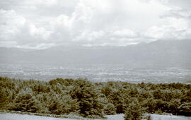 4986-3.jpg