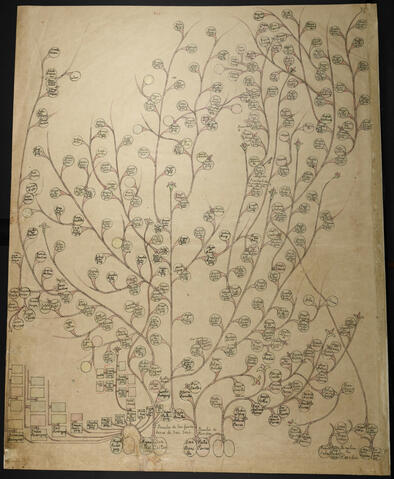 Open original Document numérique