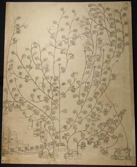 Genealogía de las familias Rodríguez Castro y Bonilla Porras, fundadoras de San José