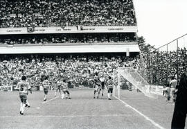6274-17.jpg