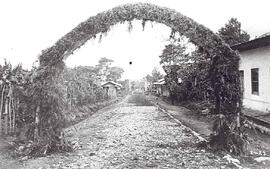 Fotografías del Arco Triunfal levantado en una de las calles del centro de la ciudad, para conmem...