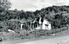 5038-3.jpg