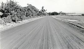 Fotografía de la carretera Chacarita- Puntarenas. Costa Rica