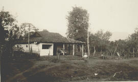 Fotografías estereoscópicas de diferentes lugares de Costa Rica. Se observa: casa, ríos, arboleda...