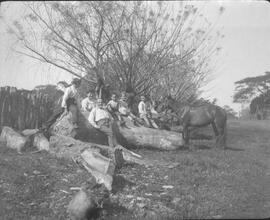 Negativo de Paul Biolley y miembros de la familia posando en unos troncos de árboles cortados, en...