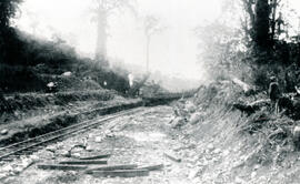 4615-17.jpg