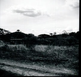 4118-8.jpg