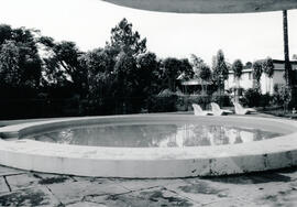 6249-5.jpg