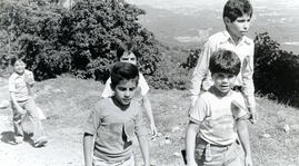 4338-2.jpg