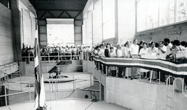 4155-3.jpg